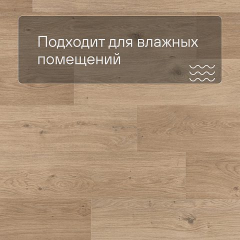 QS Second choice Alpha BLOS  SPE40321 - AVSPU 40321 Дуб береговой бежевый (фото 2)