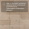 QS Second choice Alpha BLOS BASE  SPE40321 - AVSPT 40321 Дуб береговой бежевый (миниатюра фото 10)