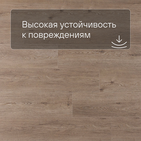 Norland Sigrid SPC (RUS) 1001-8-R Flosi 4V (фото 5)