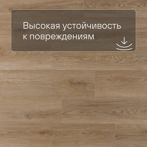 Norland Sigrid SPC (CH) 1001-20 Niky 4V 34кл (фото 5)