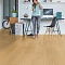 QS Alpha Vinyl BLOOM планка AVMPU 40098 Дуб чистый медовый (миниатюра фото 11)
