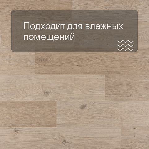 QS Second choice Alpha BLOS BASE  SPE40321 - AVSPT 40321 Дуб береговой бежевый (фото 2)