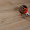 Кварц виниловый ламинат Evofloor Optima Click Pear Cappucino (миниатюра фото 1)
