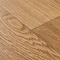 Premium AS Falco 2_1159 (миниатюра фото 13)