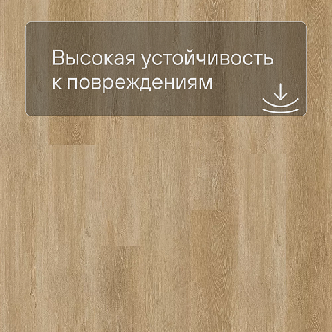 QS SPC Atmosphere ASPC 20251 Дуб золотой (фото 5)