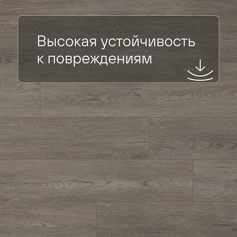 QS SPC Atmosphere ASPC 20242 Дуб греш (фото 5)