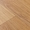 Premium AS Falco 2_1159 (миниатюра фото 14)
