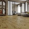 Norland Elegant 8 4V 33 (CH) LF301-14 Дуб Скай (миниатюра фото 8)