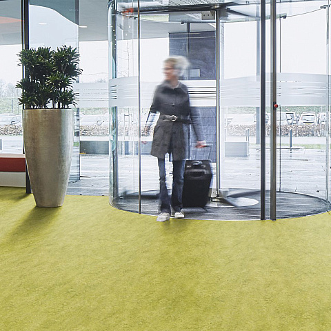  Forbo Marmoleum Marbled Real 3224 Chartreuse - 2.5 (фото 3)