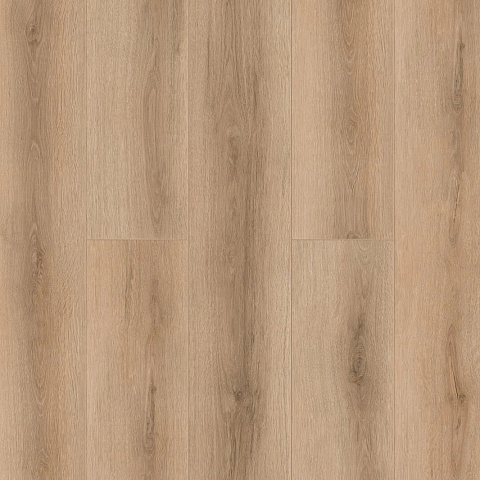 Tulesna Verano SPC (RUS) 1002-17 Bellone 4V (фото 1)